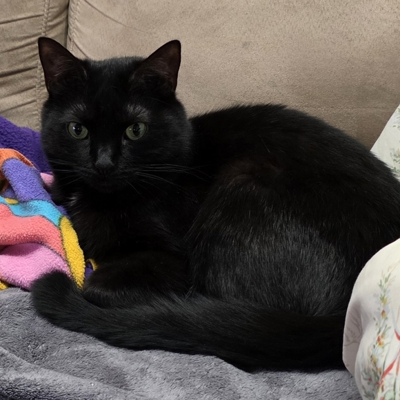 Meet your Posher, Ingrid - Picture 1 of 1